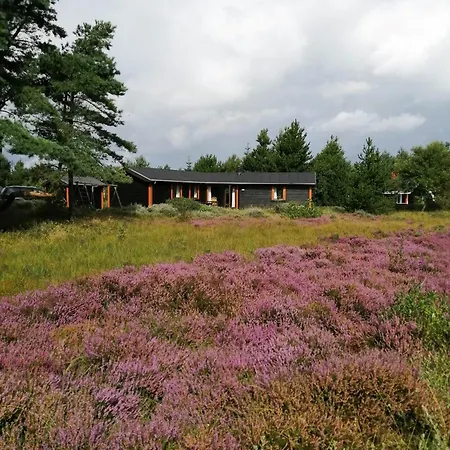 Vakantiehuis West Sea Idyll And Calm At Thorupstrand Fjerritslev